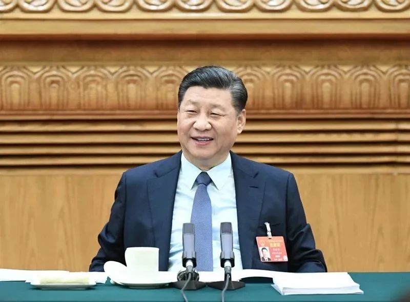 2019年3月8日，習(xí)近平參加十三屆全國人大二次會議河南代表團的審議。新華社記者 謝環(huán)馳 攝