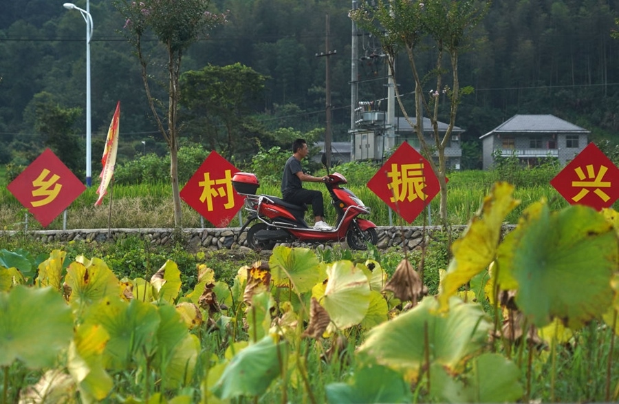 2023年8月24日拍攝的江西省靖安縣璪都鎮(zhèn)港背村一景。該村在當(dāng)?shù)卣С窒?，修古建，建民宿，搞開(kāi)發(fā)，引進(jìn)竹筏漂流、觀光采摘、農(nóng)耕體驗(yàn)、森林研學(xué)等多種旅游業(yè)態(tài)，建成新田園生態(tài)度假小鎮(zhèn)，發(fā)展鄉(xiāng)村旅游，走上致富路。
