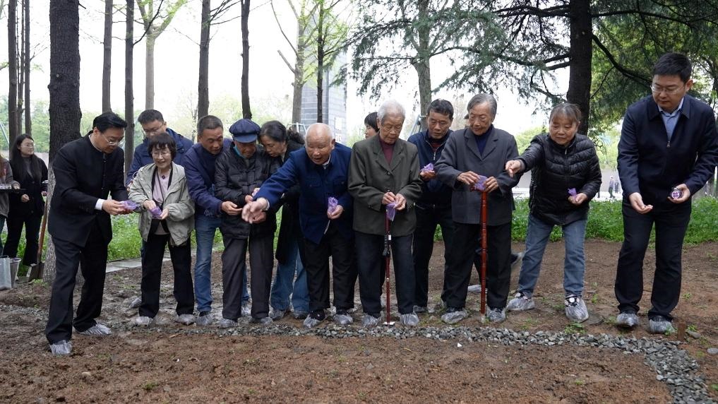 南京大屠殺幸存者代表、死難者遺屬代表等在紀念館的和平公園里，播撒下紫金草的種子。新華社記者林凱 攝