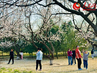 游客在北京長陽公園賞花。人民網(wǎng)記者 劉微攝
