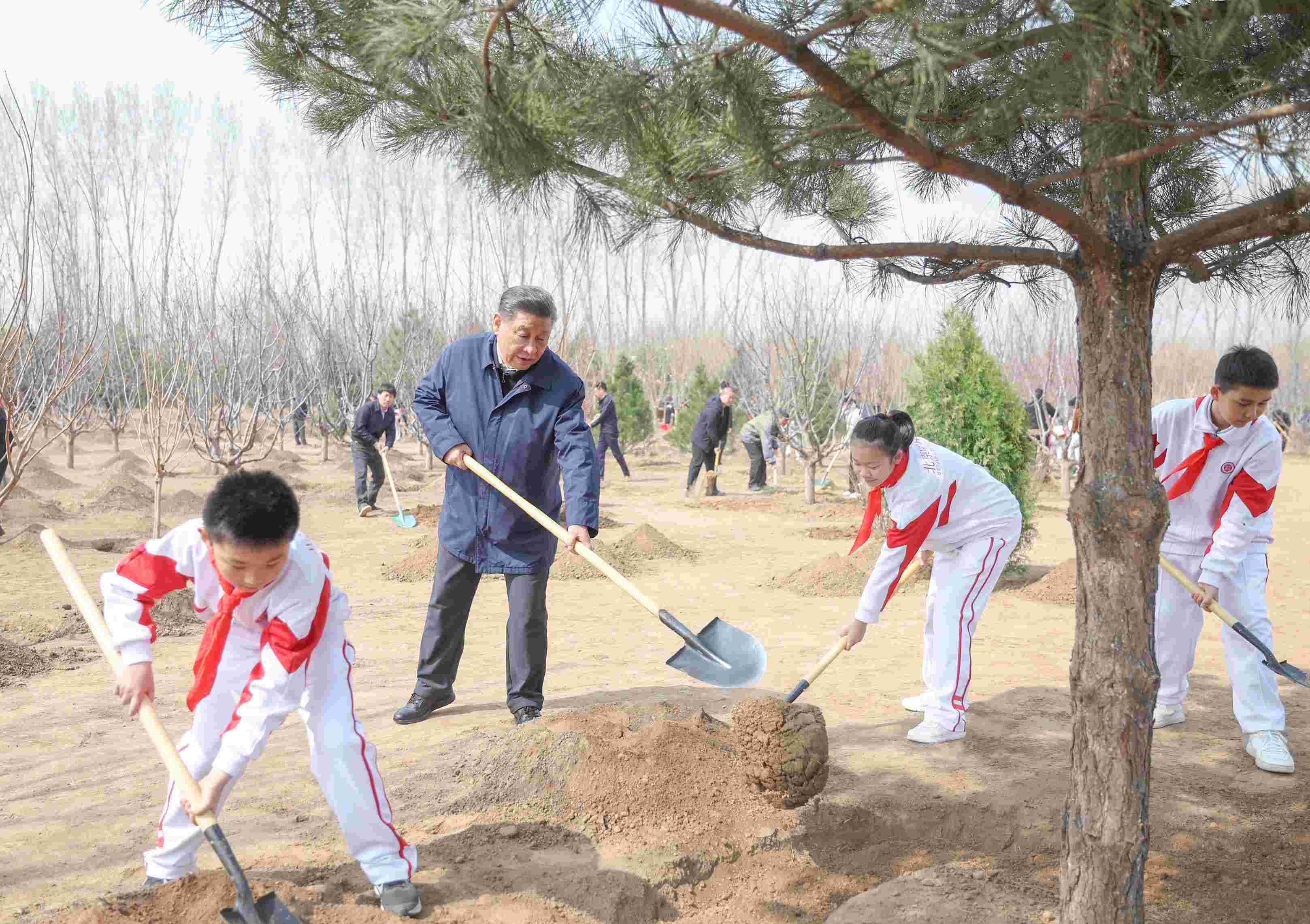 2024年4月3日，習(xí)近平總書記來到北京市通州區(qū)潞城鎮(zhèn)參加首都義務(wù)植樹活動。