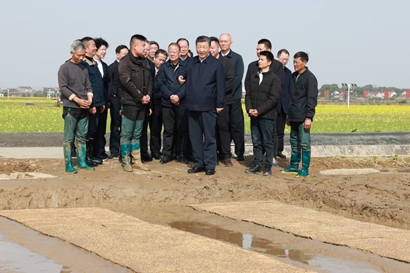 △2024年3月19日，在湖南常德市鼎城區(qū)謝家鋪鎮(zhèn)港中坪村，習(xí)近平總書記走進田間，察看秧苗培育和春耕備耕進展。