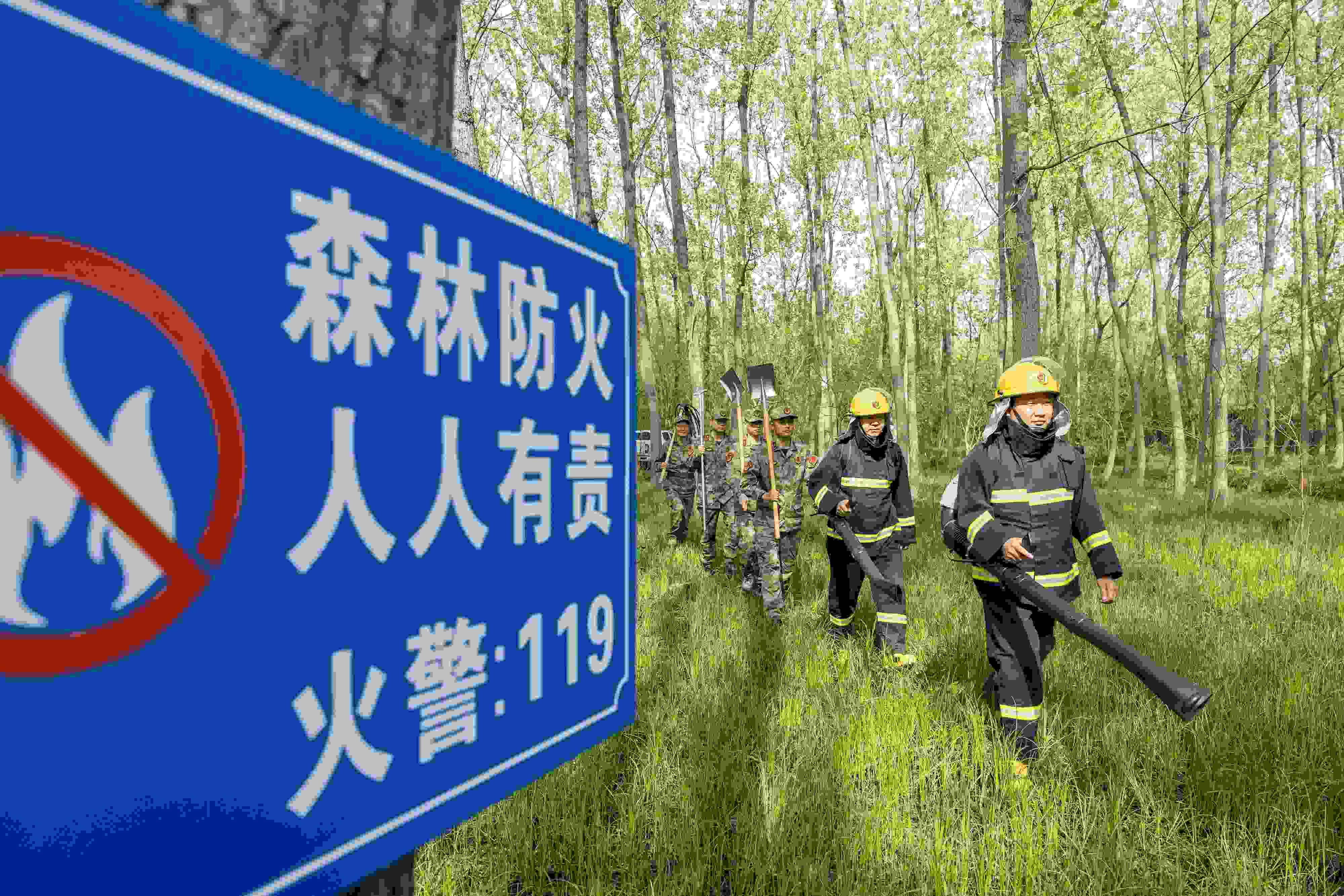 2024年4月9日，合肥市大房郢水庫(kù)水源保護(hù)地廬陽(yáng)經(jīng)濟(jì)開發(fā)區(qū)段，基干民兵正在林間巡查火災(zāi)隱患。