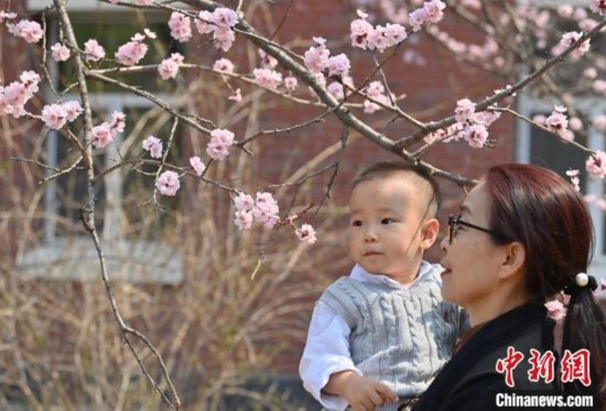 4月21日，游客在吉林大學(xué)南嶺校區(qū)賞花。張瑤 攝