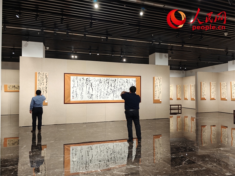 觀眾正在參觀展覽。人民網(wǎng)記者 韋衍行攝