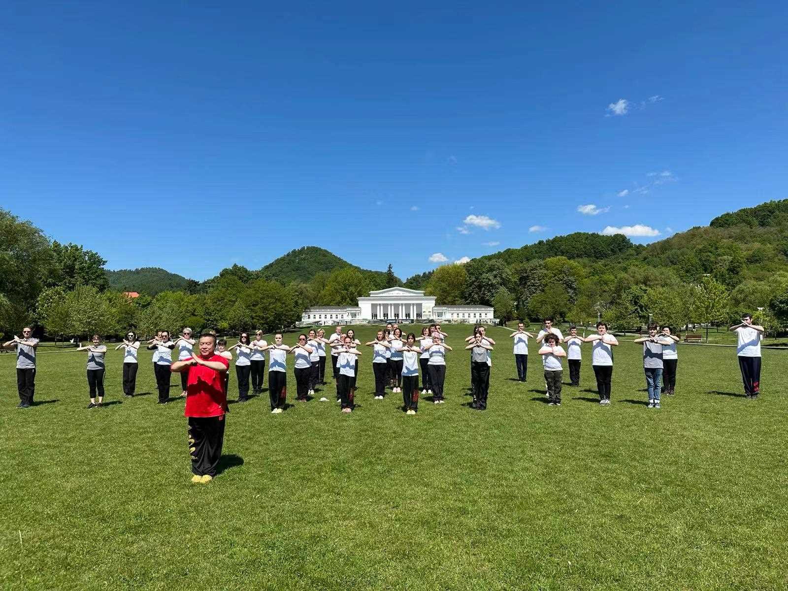 北京體育大學教授武冬帶領學員進行太極拳演練。布加勒斯特中國文化中心供圖