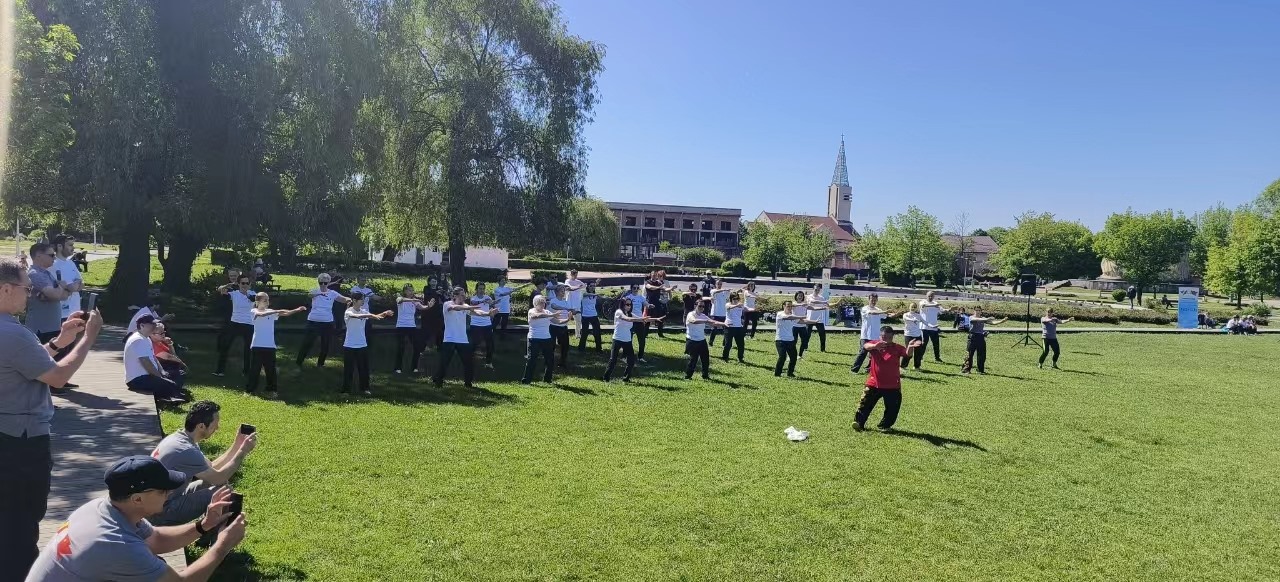 北京體育大學教授武冬做太極拳進階教學。布加勒斯特中國文化中心供圖