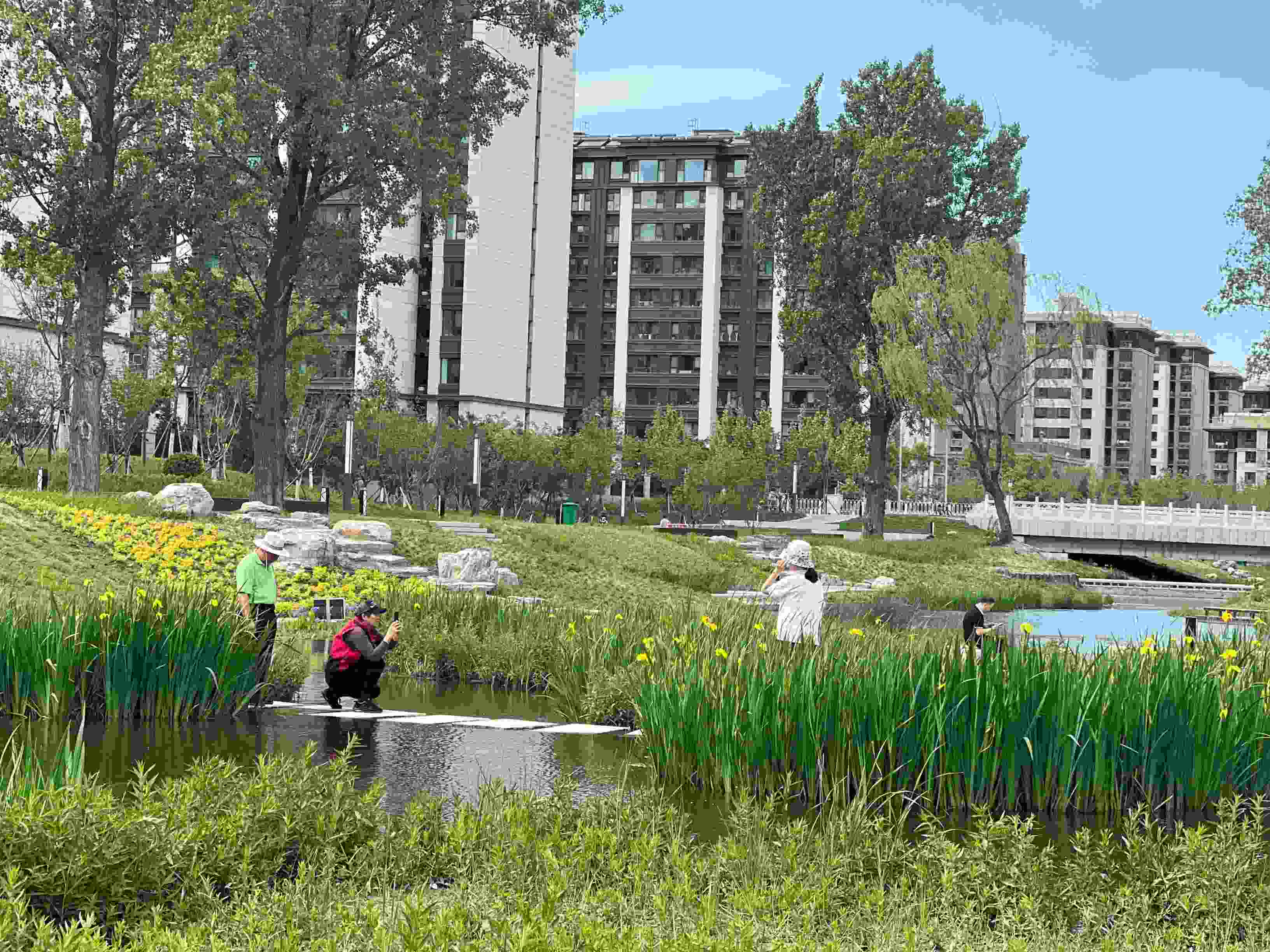 五一渠生態(tài)濱河公園內(nèi)，市民正在拍照留念。人民網(wǎng) 歐陽(yáng)易佳攝