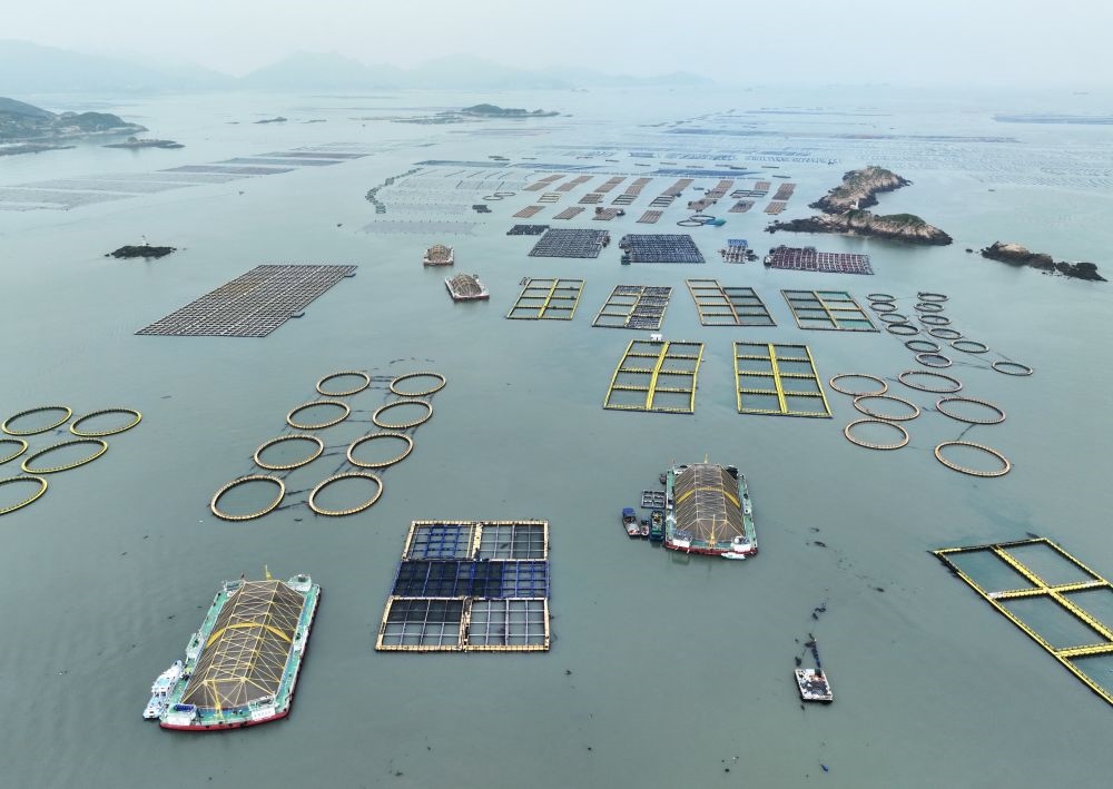 在福建連江定海灣海域，坐落著“定海灣1號(hào)”“定海灣2號(hào)”等深遠(yuǎn)海養(yǎng)殖平臺(tái)（2024年5月7日攝，無人機(jī)照片）。新華社記者 林善傳 攝