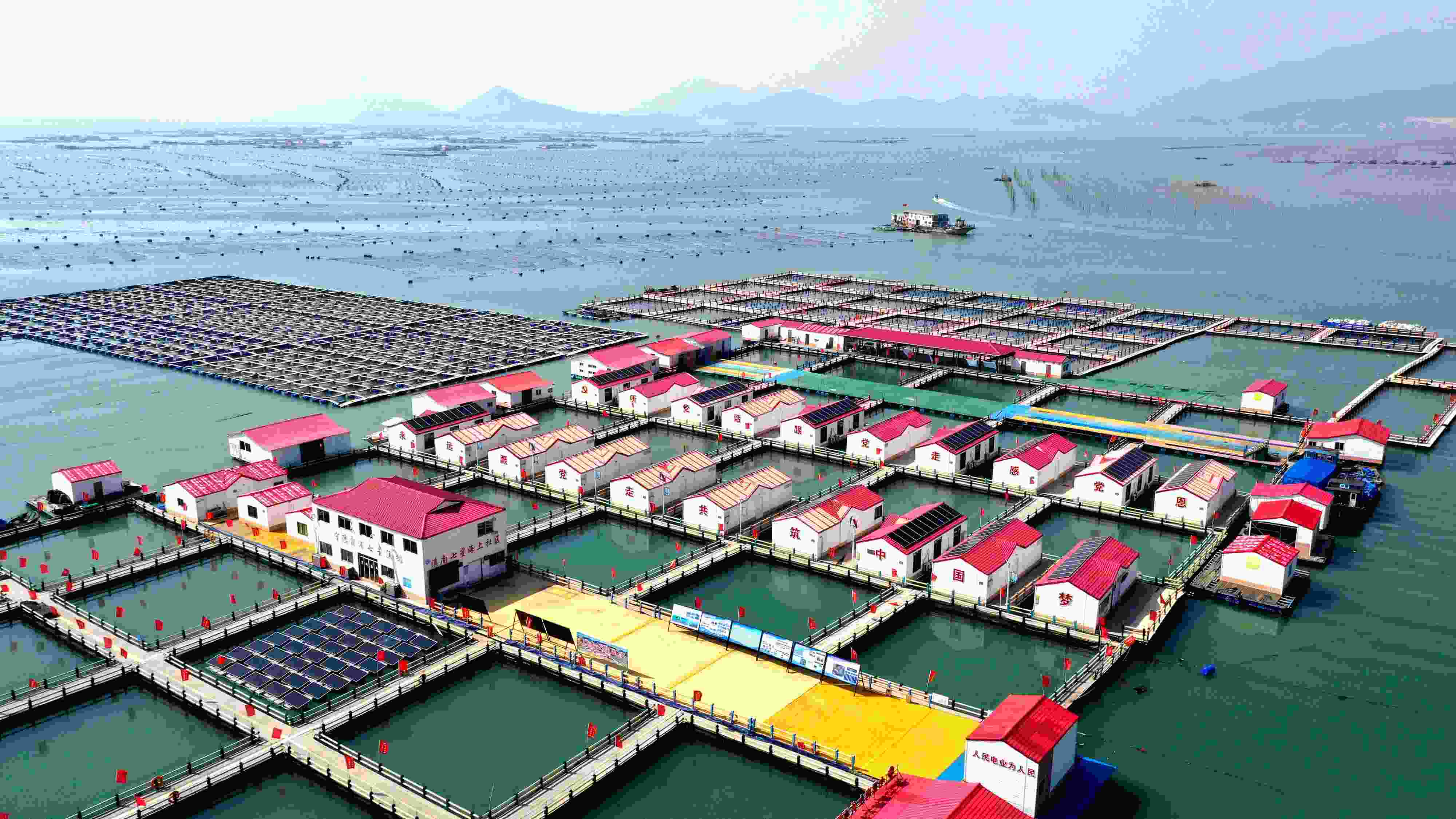2024年3月20日，福建省寧德市，霞浦縣溪南鎮(zhèn)七星村漁排養(yǎng)殖示范區(qū)，漁民駕駛養(yǎng)殖船進(jìn)行海參養(yǎng)殖作業(yè)。
