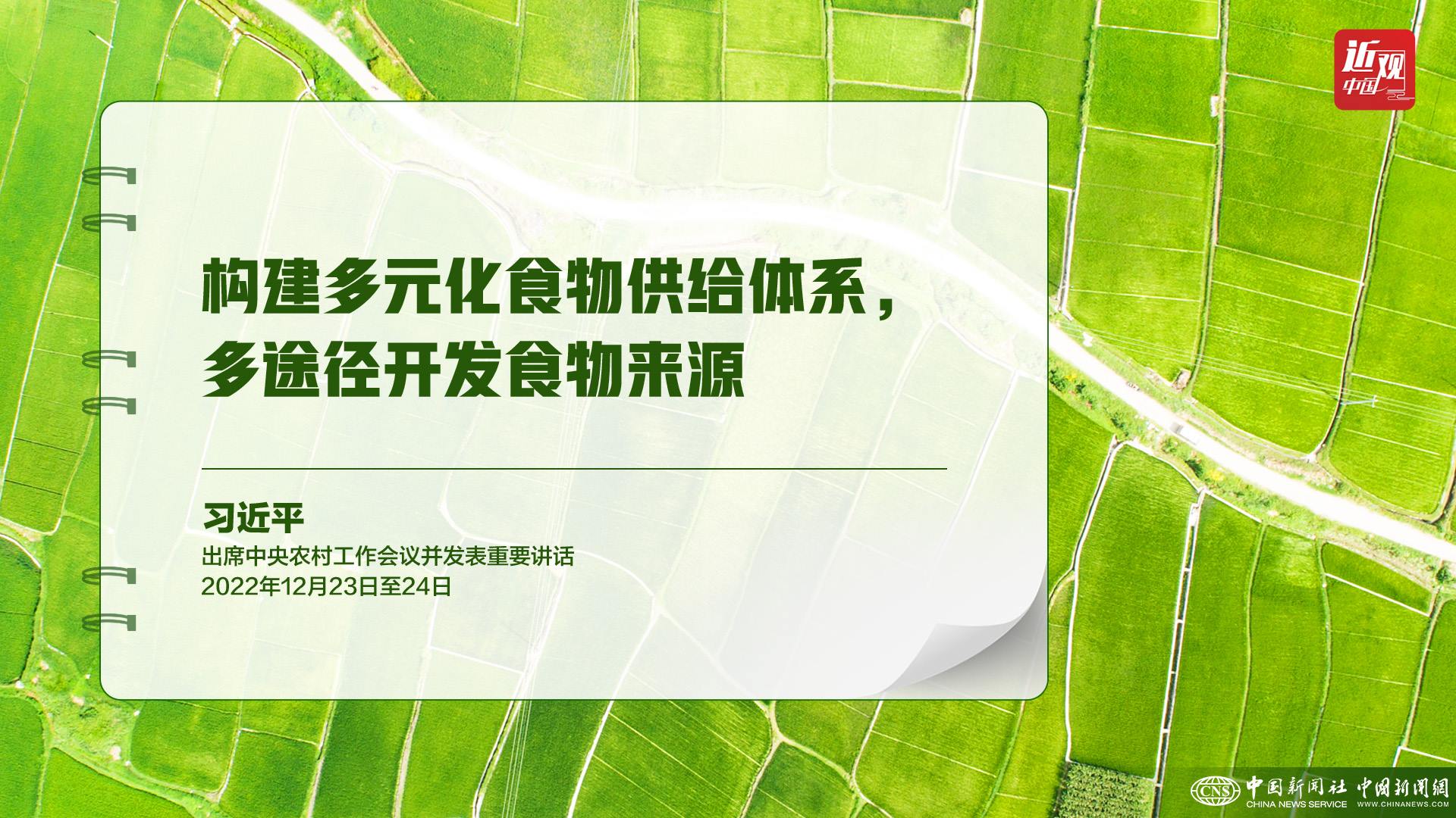 習近平：樹立大食物觀，構建多元化食物供給體系