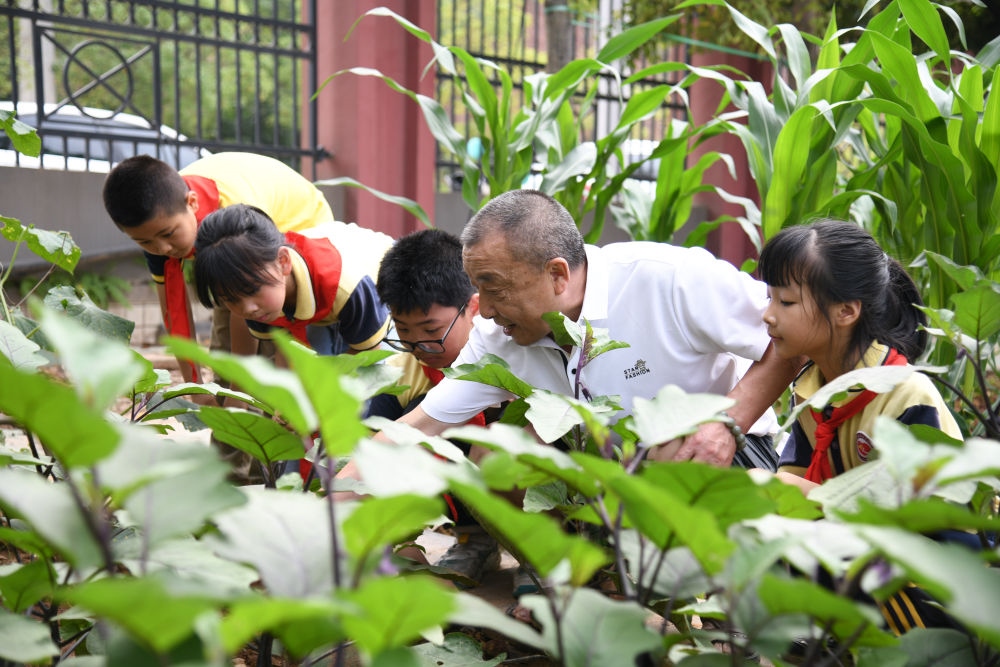 5月31日，老師帶領(lǐng)學(xué)生在之江小學(xué)勞動實踐基地學(xué)習(xí)蔬菜知識。新華社記者 胥冰潔 攝