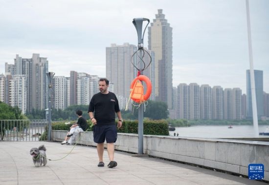 7月20日，在安徽蕪湖市，馬丁在長江邊遛狗。新華社記者 傅天 攝
