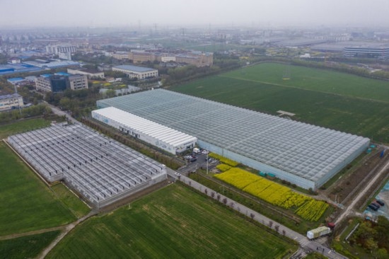 2024年3月28日，空中俯瞰嘉興南湖區(qū)湘家蕩農(nóng)業(yè)數(shù)字化工廠（無人機(jī)照片）。該農(nóng)業(yè)數(shù)字化工廠占地總面積約62畝，包含智慧農(nóng)業(yè)生產(chǎn)、物聯(lián)網(wǎng)智能管理、自動(dòng)分揀包裝、保鮮儲(chǔ)藏物流、高科技示范展示等五大功能區(qū)，可直接或間接培養(yǎng)帶動(dòng)新型職業(yè)技術(shù)農(nóng)民500人以上。新華社記者 徐昱 攝