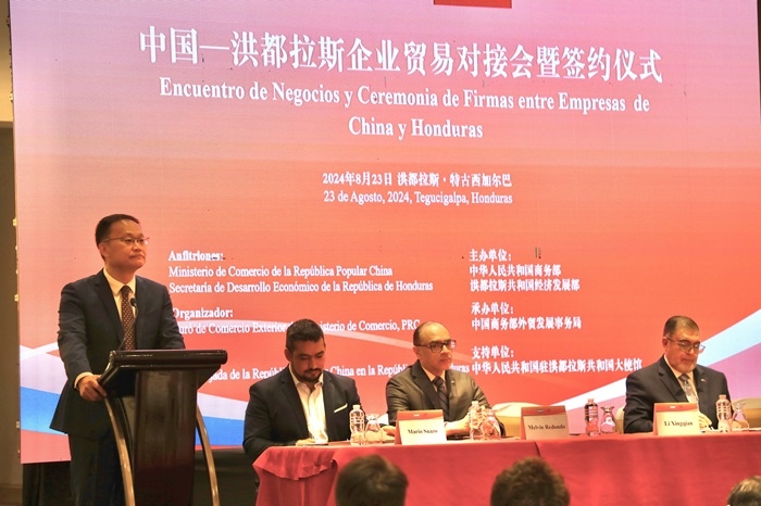 中國商務部外貿司司長李興乾發(fā)表講話。埃內斯托·多明戈斯攝