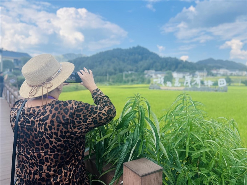 “我在花茂有塊田”，不僅是中國人的詩和遠方，也是塔吉克斯坦“阿維斯塔”通訊社總編輯占納特洪·庫爾班諾娃的“烏托邦”。（張亞欣攝）