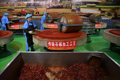 工人用電動(dòng)石碾加工辣椒面。新華社記者 范培珅 攝