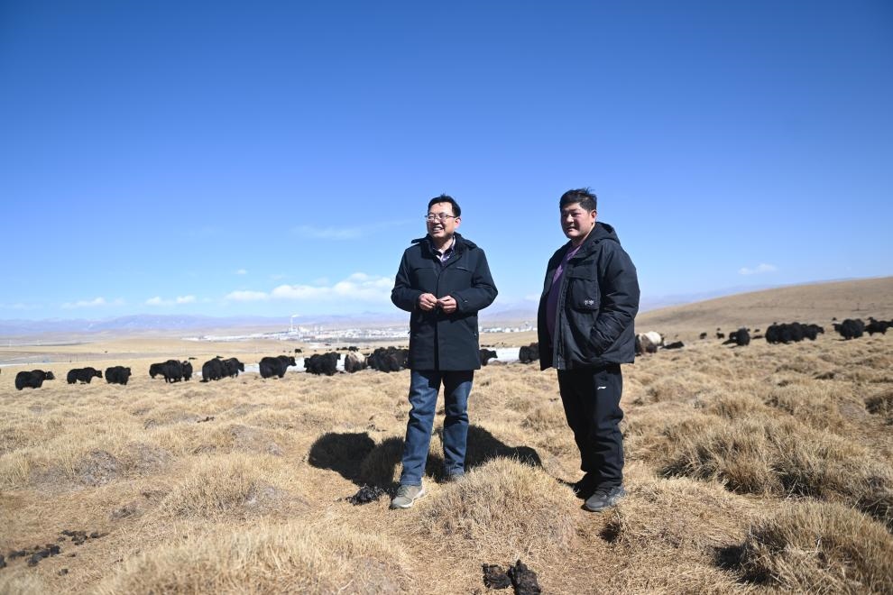2023年2月24日，在青海省海北藏族自治州海晏縣青海湖鄉(xiāng)達(dá)玉日秀村，全國人大代表董全民（左）查看牧民東知布家的草場。新華社記者 張龍 攝
