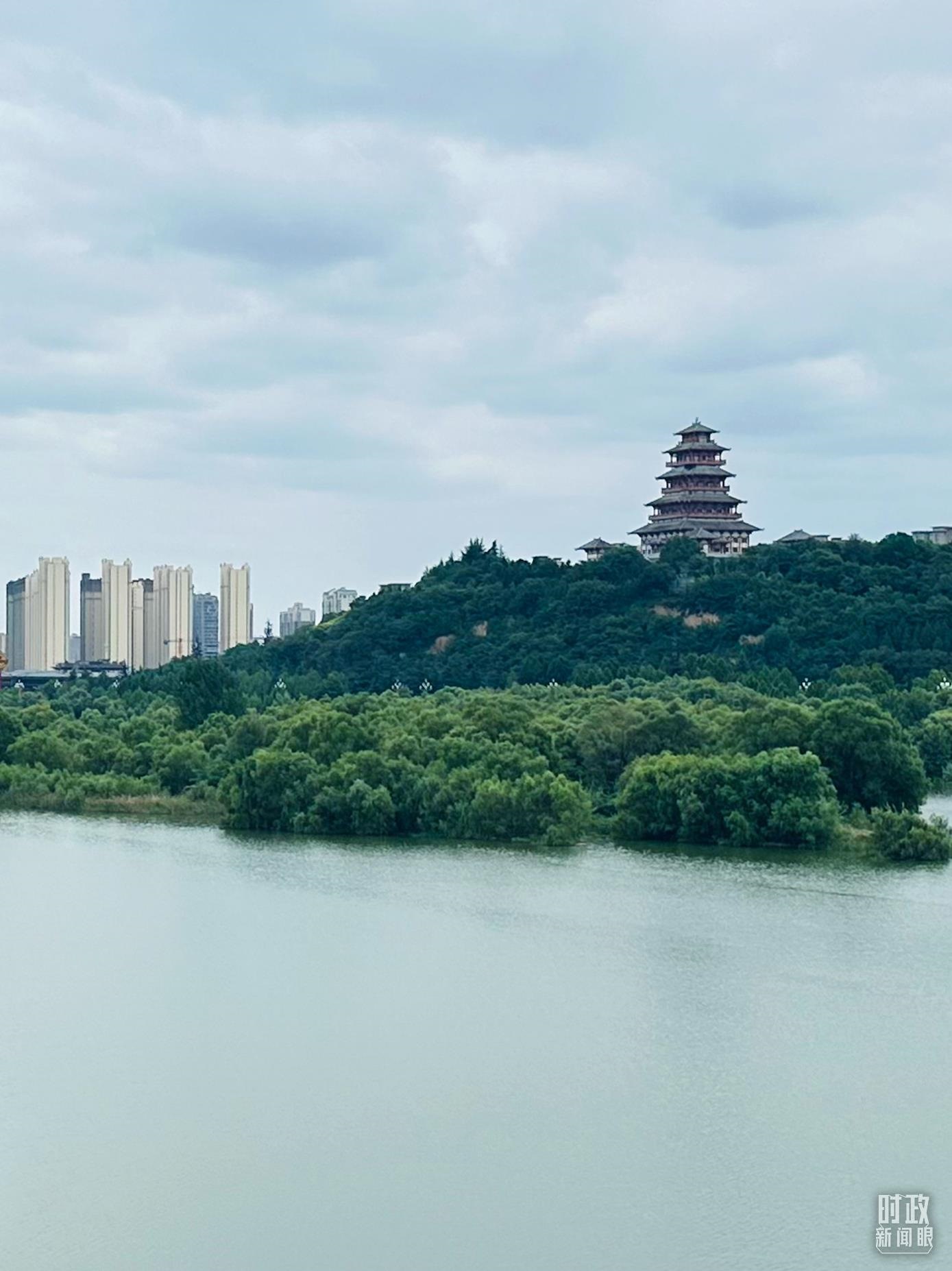 △渭河寶雞段長224公里，目前建成17處渭河灘區(qū)生態(tài)涵養(yǎng)區(qū)。（總臺央視記者范一鳴拍攝）