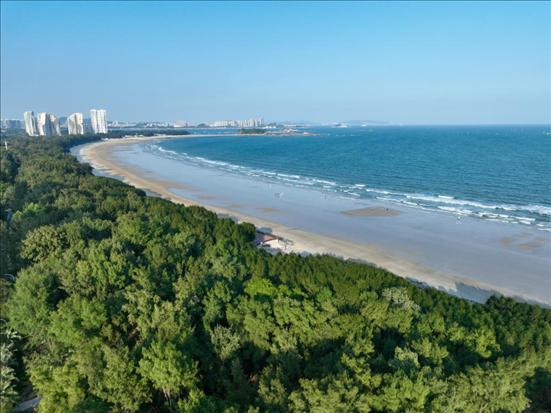 郁郁蔥蔥的東山縣沿海防護(hù)林（無人機拍攝）。新華社記者 姜克紅 攝