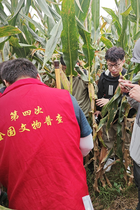 普查隊(duì)員正在使用探鏟進(jìn)行探測(cè)。中國(guó)文物報(bào)供圖