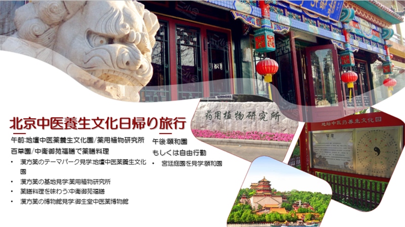 “你好！中國·休閑旅游—中國旅游說明會”宣講材料。中國駐東京旅游辦事處供圖
