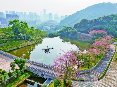 無人機在深圳塘朗山郊野公園里巡檢。新華社發(fā)