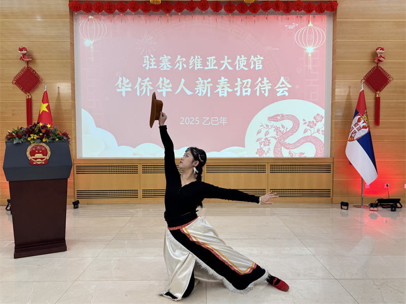 招待會現(xiàn)場表演。諾維薩德孔子學(xué)院供圖
