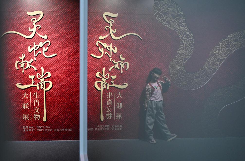 1月18日，一名小朋友在國家自然博物館舉辦的“靈蛇獻瑞——2025乙巳蛇年生肖文物大聯(lián)展”展覽中拍照留念。（新華社記者 陳鐘昊 攝）