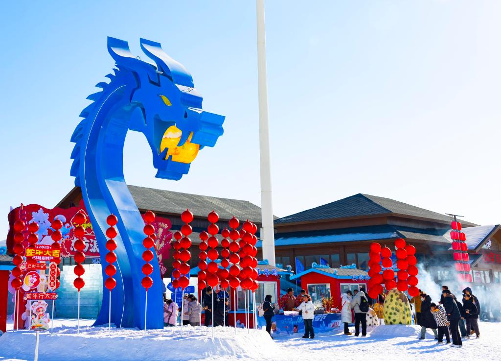 2025年1月，游客在遼寧錦州東方華地城海洋冰雪王國內(nèi)游覽。新華社發(fā)