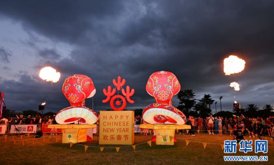 圖為游客在2025年奧克蘭元宵燈節(jié)游覽。（圖片由奧克蘭中國(guó)文化中心提供）