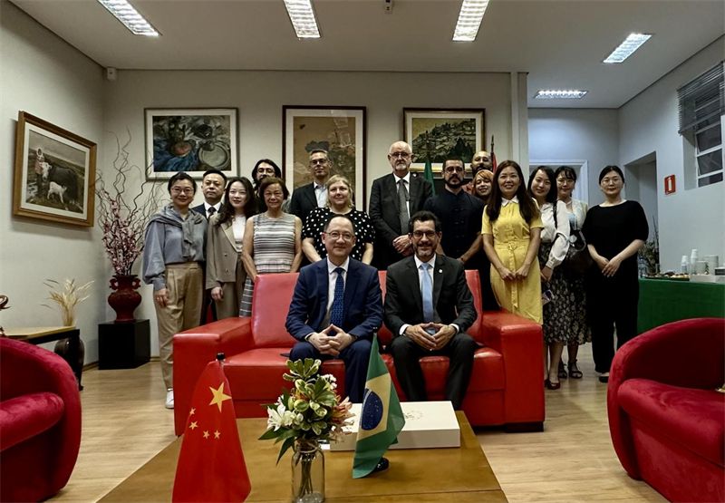 圖為參加座談會的來賓合影留念。 圣保羅州立大學孔子學院供圖