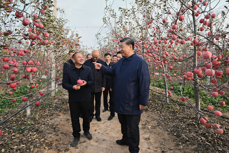 2022年10月26日，習近平總書記在陜西省延安市安塞區(qū)高橋鎮(zhèn)南溝村的蘋果園里同老鄉(xiāng)們親切交流。