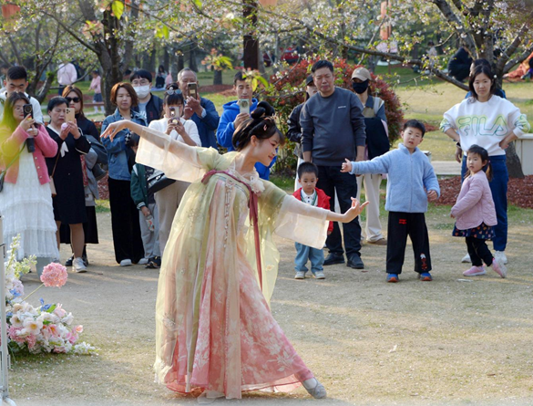 清明假期期間，上海顧村公園櫻花島上，游客在觀賞國風(fēng)漢服快閃表演。（圖片來源：視覺中國）