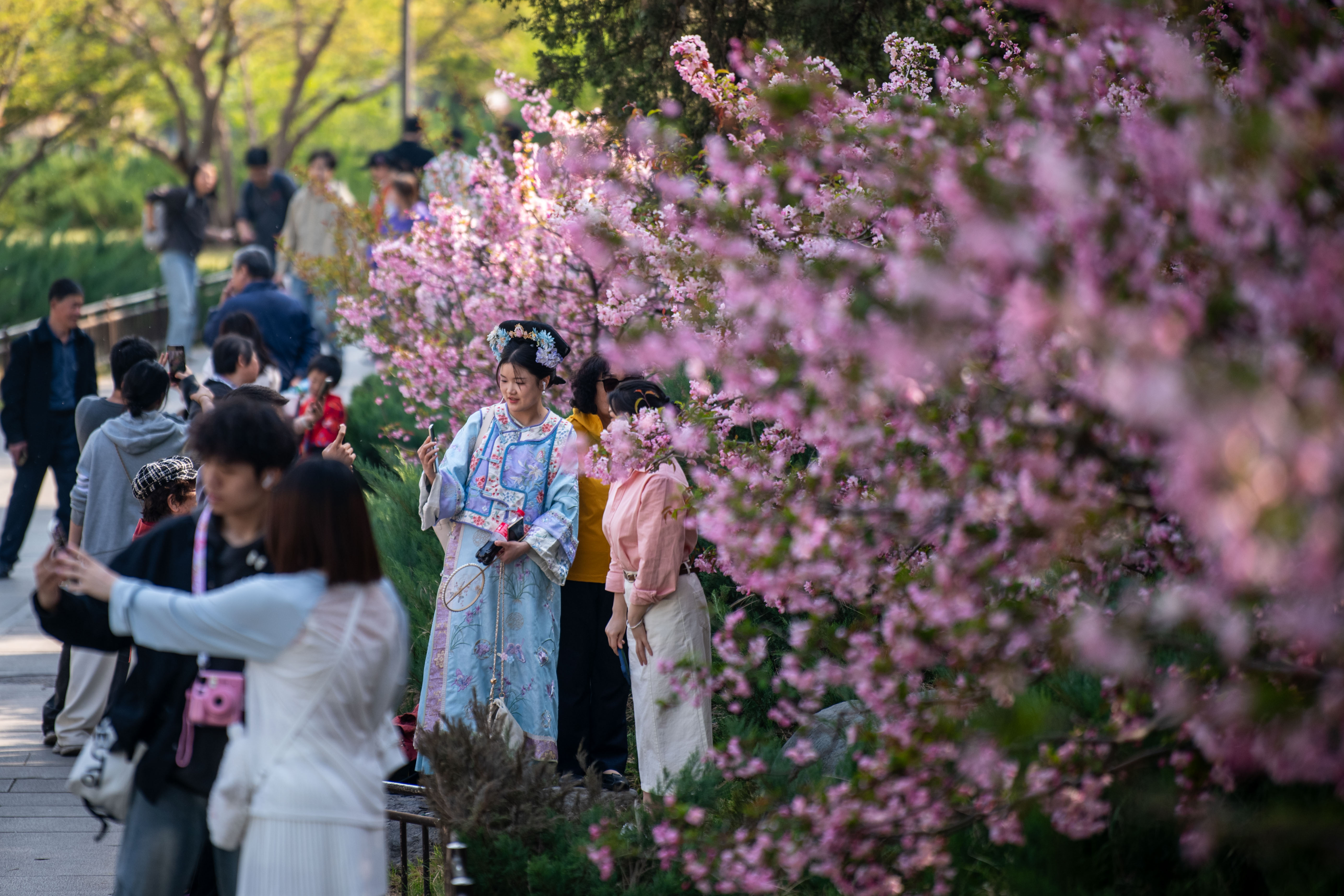 2025年4月6日，北京北海公園，滿園春色醉游人。人民網(wǎng)記者 翁奇羽攝