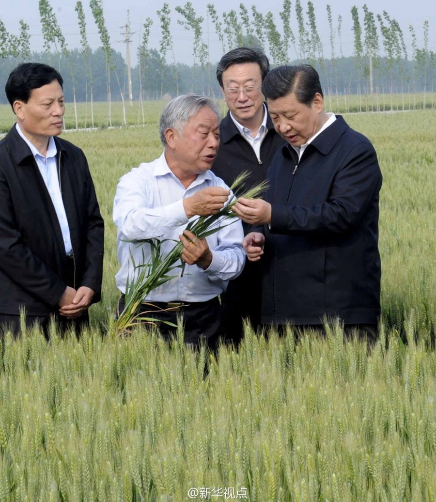 2014年5月，習(xí)近平總書記在河南省尉氏縣張市鎮(zhèn)高標(biāo)準(zhǔn)糧田察看小麥長(zhǎng)勢(shì)。