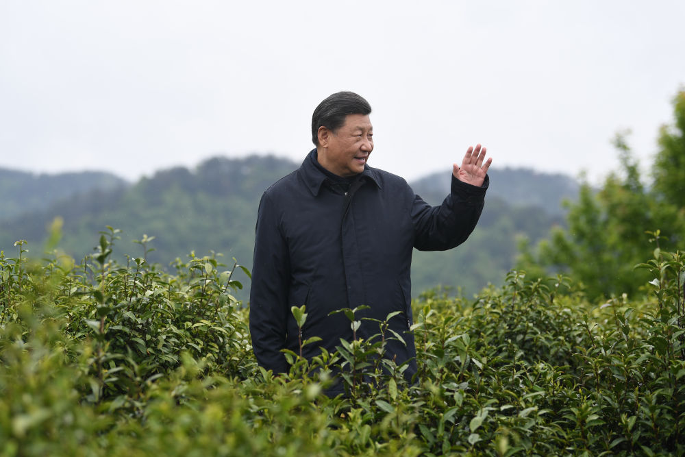 2020年4月21日，習(xí)近平總書記來到陜西安康市平利縣老縣鎮(zhèn)，在茶園考察脫貧攻堅(jiān)情況。新華社記者 燕雁 攝