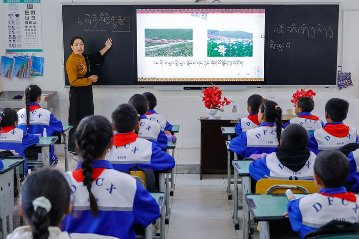 2024年9月27日，在四川省甘孜藏族自治州道孚縣城關(guān)第一完全小學(xué)，采取“藏加模式”教學(xué)的五年級一班的藏語文課上，準(zhǔn)木周老師指導(dǎo)藏族學(xué)生以家鄉(xiāng)草原風(fēng)物為主題寫作藏語文作文。新華社記者 沈伯韓 攝